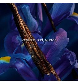 Shalimar Millesime Iris - Eau de Parfum